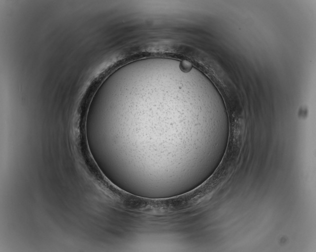 X0000101140727200807110942