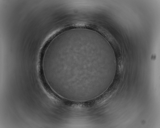 X0000101140728200807110942