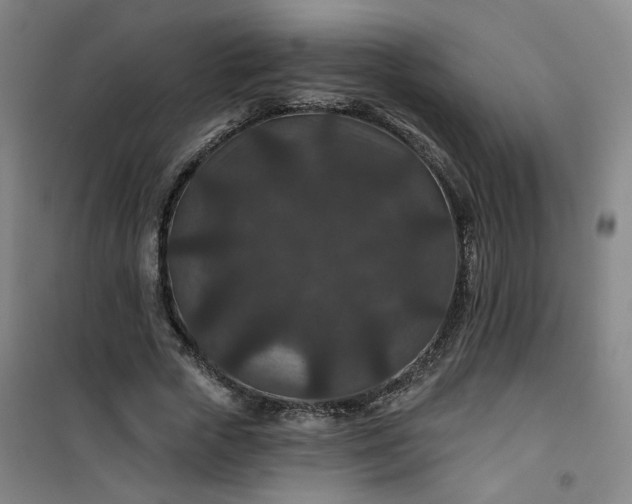 X0000101140729200807110942