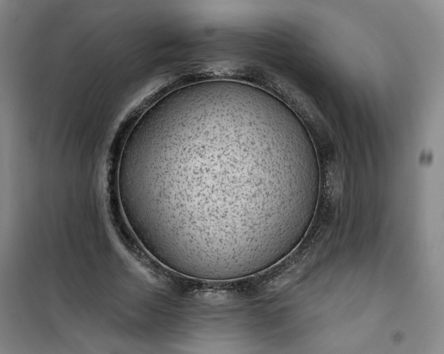 X0000101140730200807110942