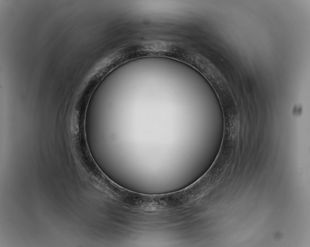 X0000101140731200807110942