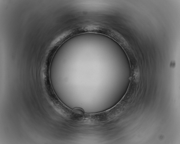 X0000101140732200807110942