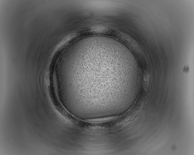 X0000101140734200807110942