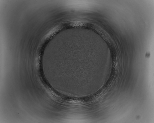 X0000101140735200807110942