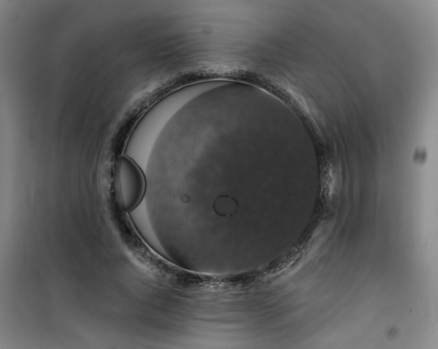 X0000101140736200807110942