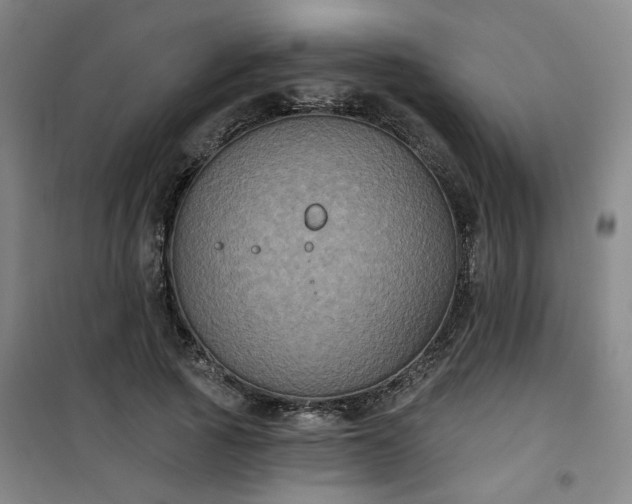 X0000101140737200807110942