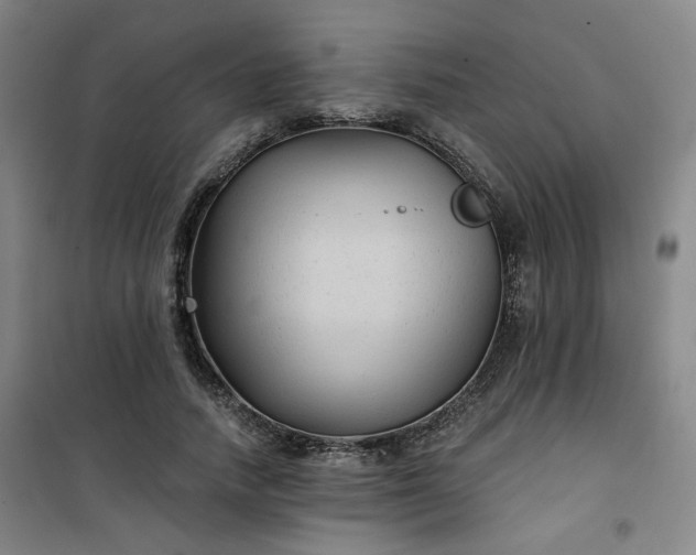 X0000101140738200807110942