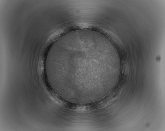 X0000101140740200807110942