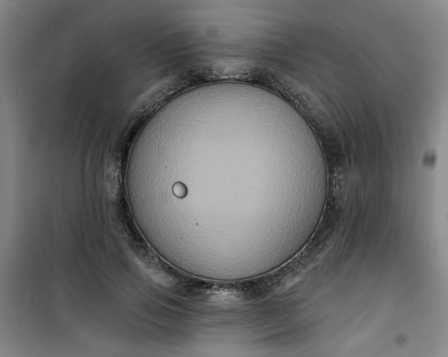 X0000101140741200807110942