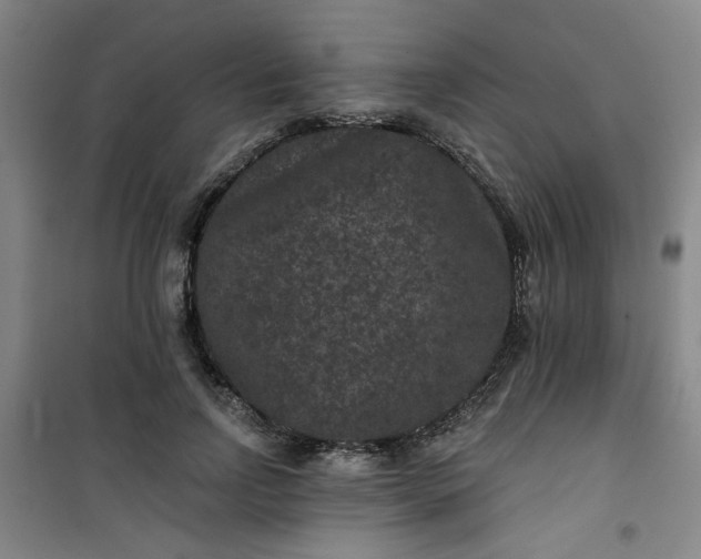 X0000101140742200807110942