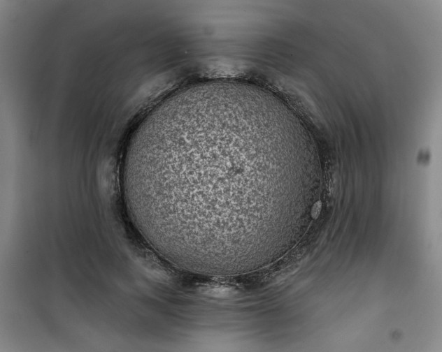 X0000101140743200807110942