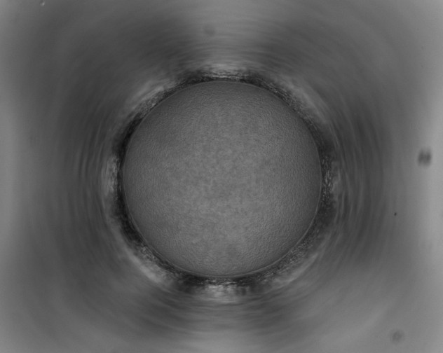 X0000101140744200807110942