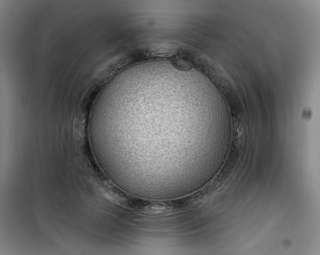 X0000101140745200807110942