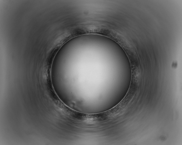 X0000101140746200807110942