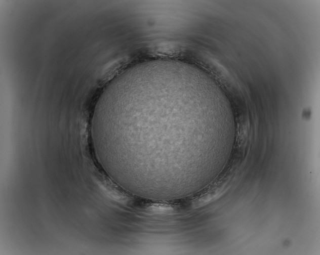 X0000101140749200807110942