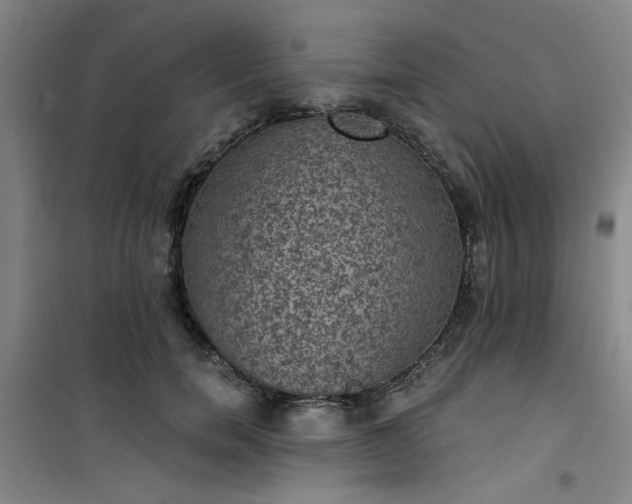 X0000101140750200807110942