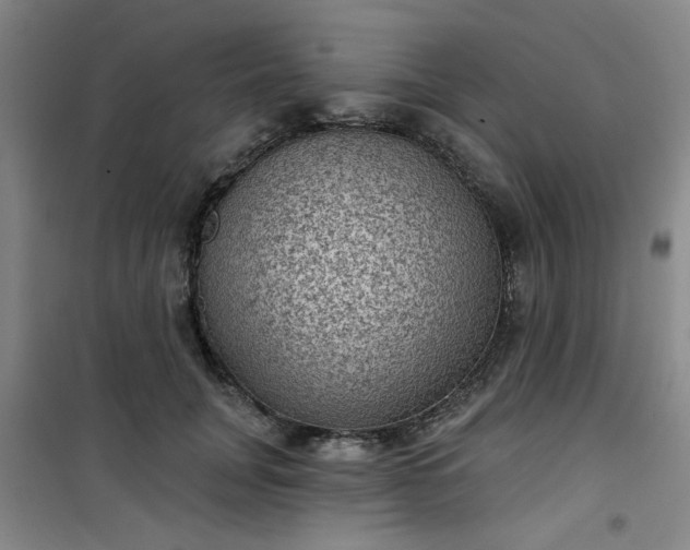 X0000101140751200807110942