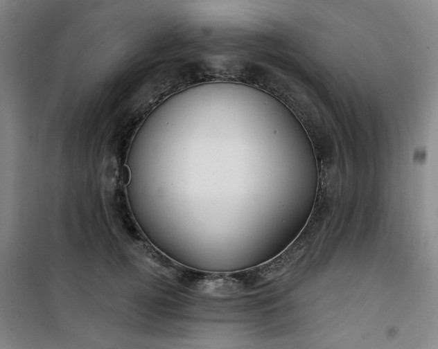 X0000101140752200807110942