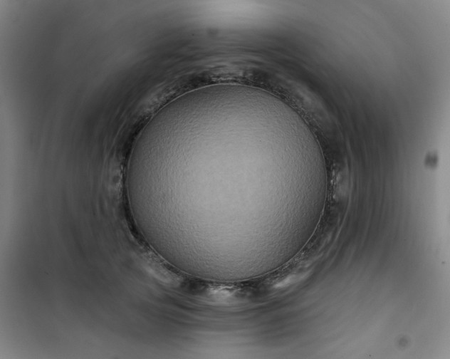 X0000101140753200807110942