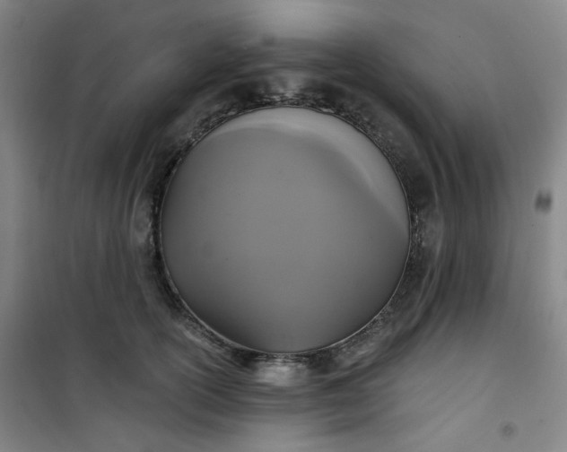 X0000101140754200807110942