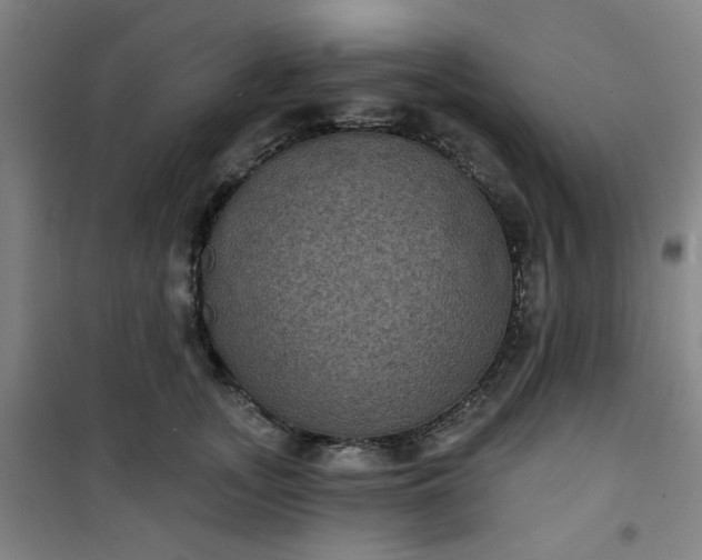 X0000101140755200807110942