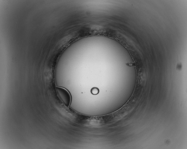 X0000101140756200807110942