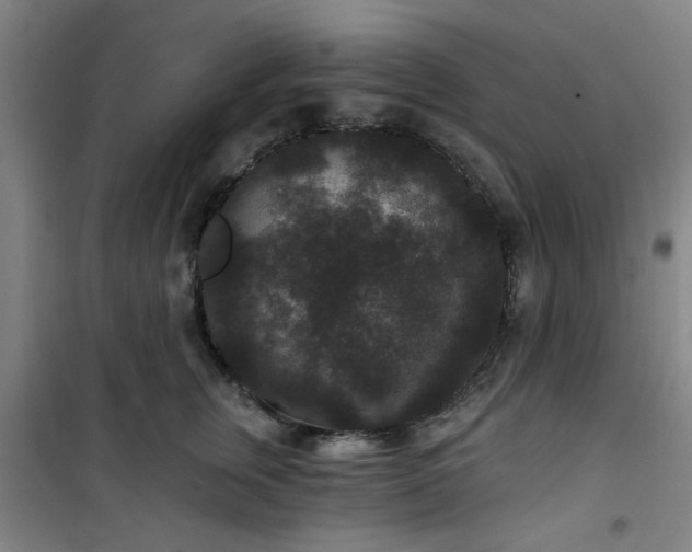 X0000101140759200807110942