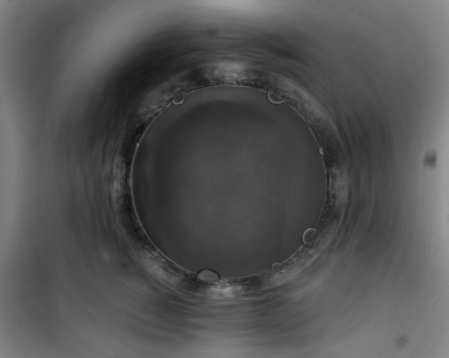 X0000101140760200807110942