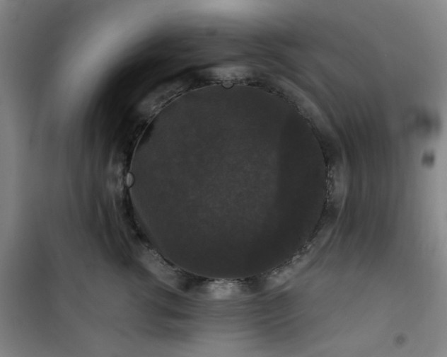 X0000101140762200807110942