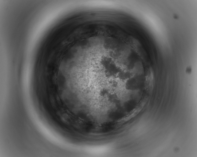 X0000101140765200807110942