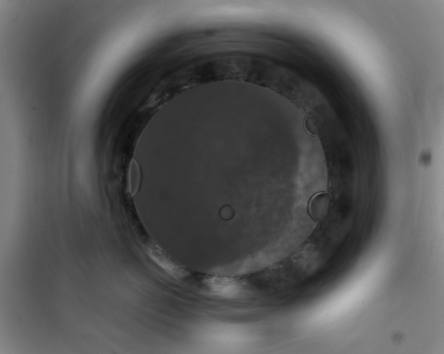 X0000101140766200807110942