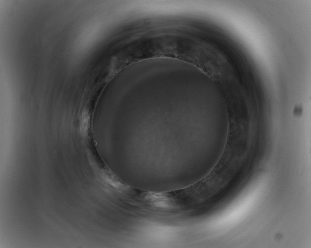 X0000101140767200807110942