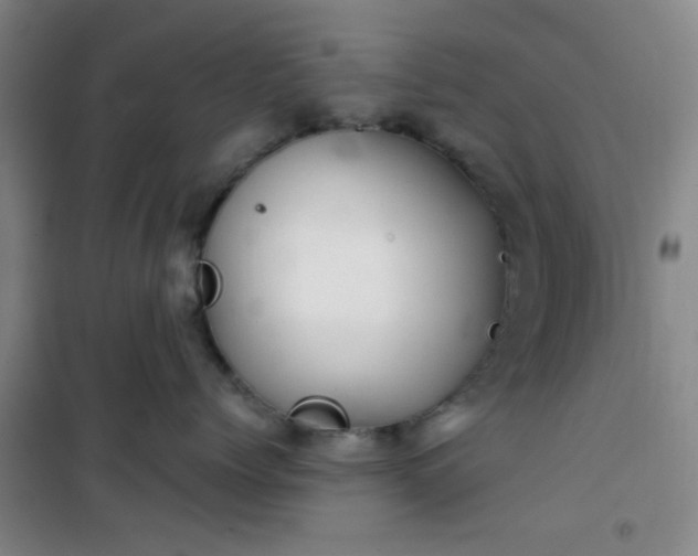 X0000101140768200807110942