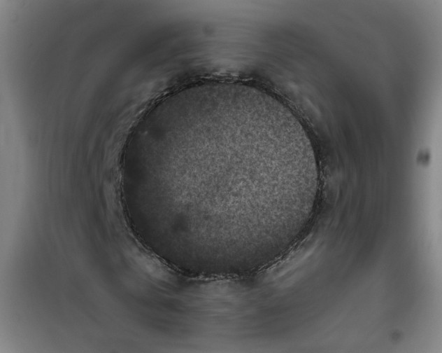 X0000101140769200807110942