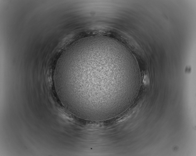 X0000101140771200807110942