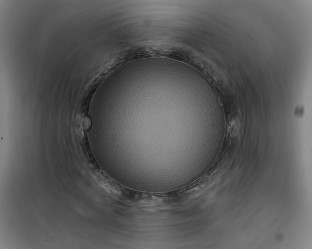 X0000101140772200807110942