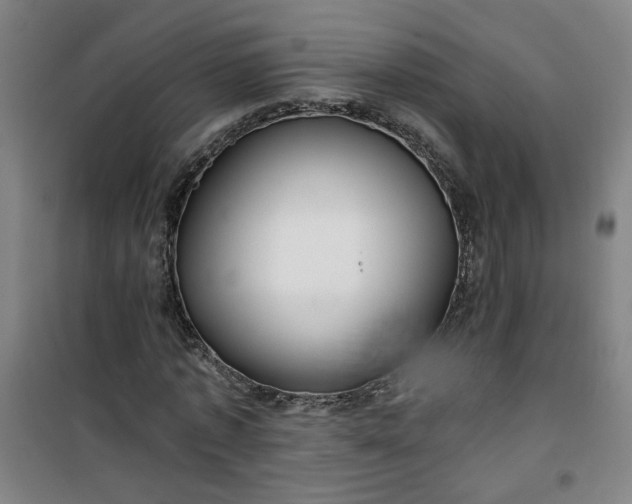 X0000101140773200807110942