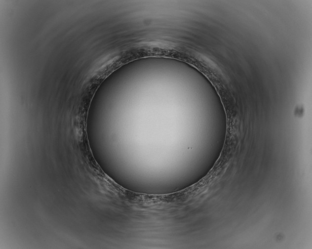 X0000101140774200807110942