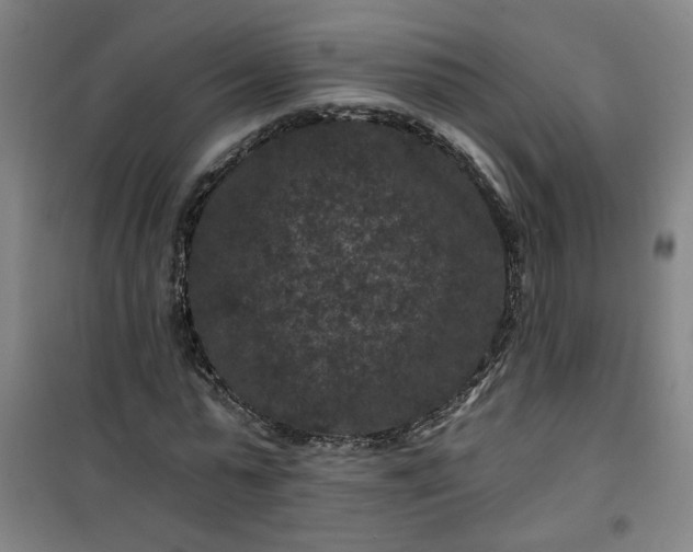 X0000101140775200807110942