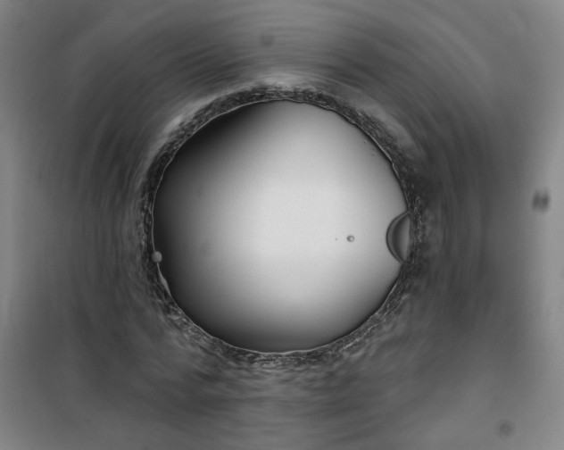 X0000101140776200807110942