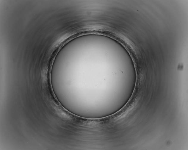 X0000101140778200807110942