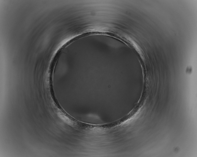 X0000101140779200807110942