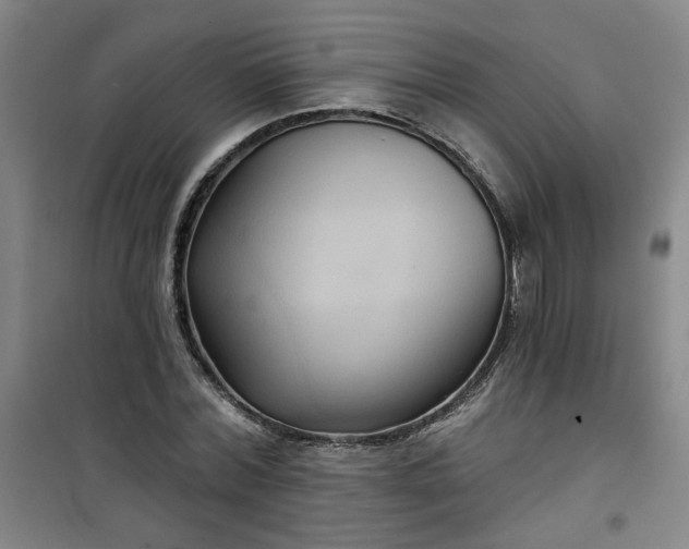 X0000101140780200807110942