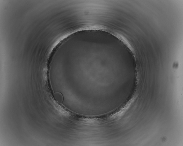 X0000101140781200807110942