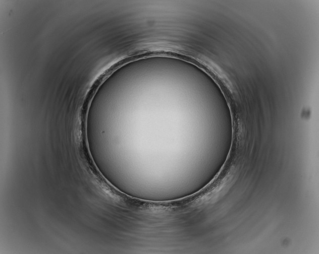 X0000101140782200807110941