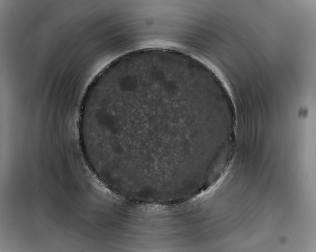 X0000101140783200807110941