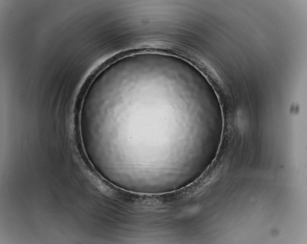 X0000101140784200807110941