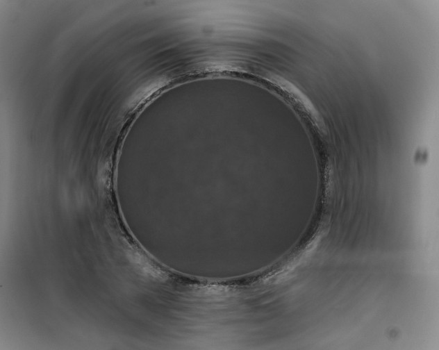 X0000101140785200807110941