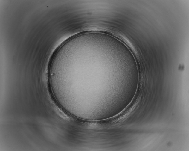 X0000101140787200807110941