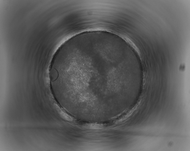 X0000101140789200807110941